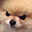 :AngeryBOYE: