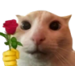 :catRose: