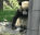 :sadpanda: