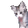 :yo: