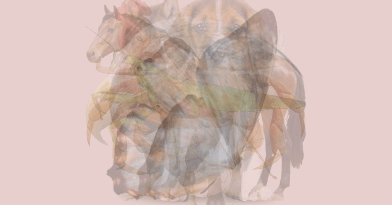 imageproxy.png.b00f5d10a48d313d8c2a95e4e2883fa9.png