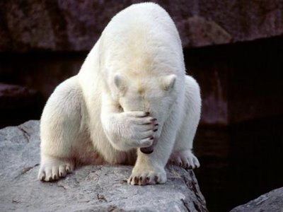 1418627341_facepalmniedzwiedzia.jpg.028b9c0f0ffc02b7c67ad45f59456d37.jpg