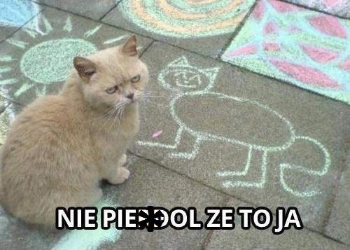 1945160863_hehekiciaaaaaaaaa.jpg.23e3da7306fc2e2d2fefecc6e2dae360.jpg