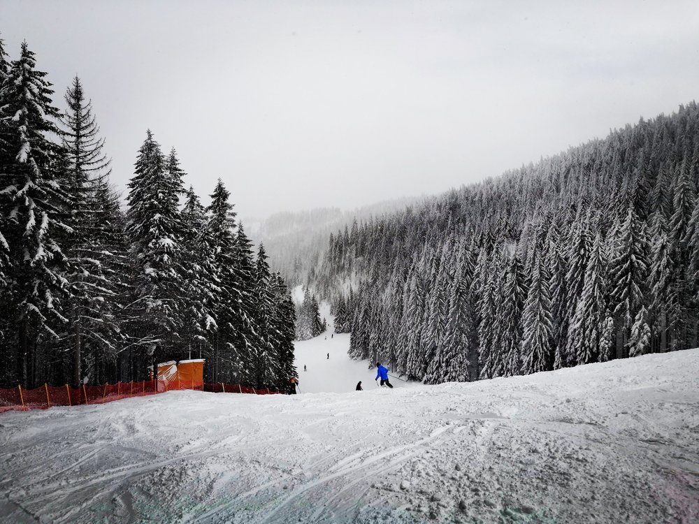 IMG_20190113_124518.jpg