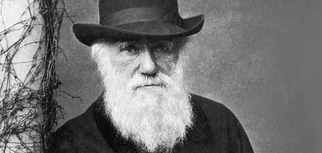 darwin.jpg.19e8a359a4575a854a6b25d5b848175c.jpg