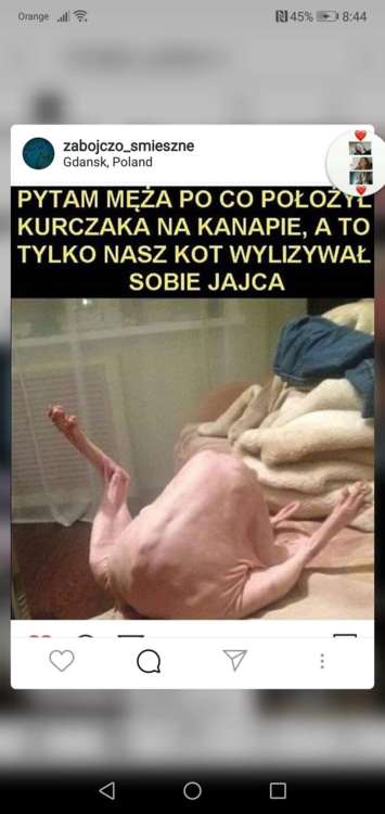 image.thumb.png.9c97fe386d614dd2e9d7d653232b5722.png