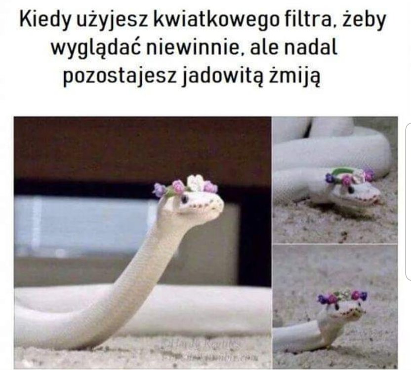 20190505_225601.jpg