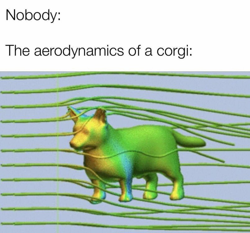 61270556_2242210069149878_6301213023235211264_o.jpg
