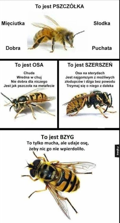 FB_IMG_1556404653309.jpg