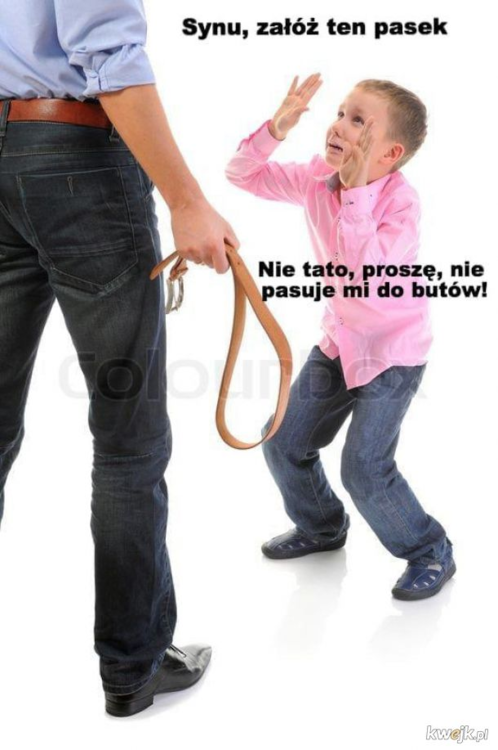 image.thumb.png.ea817b06572a91ba4fd126fb4414760d.png