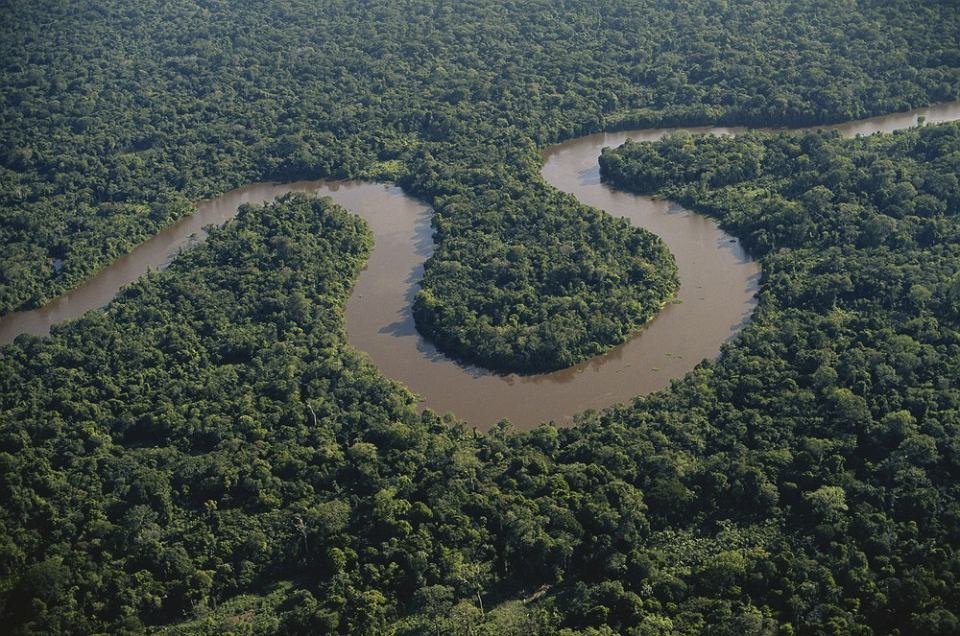 Amazonslas.jpg.69cdc15e118676859c1c69532e9351fe.jpg