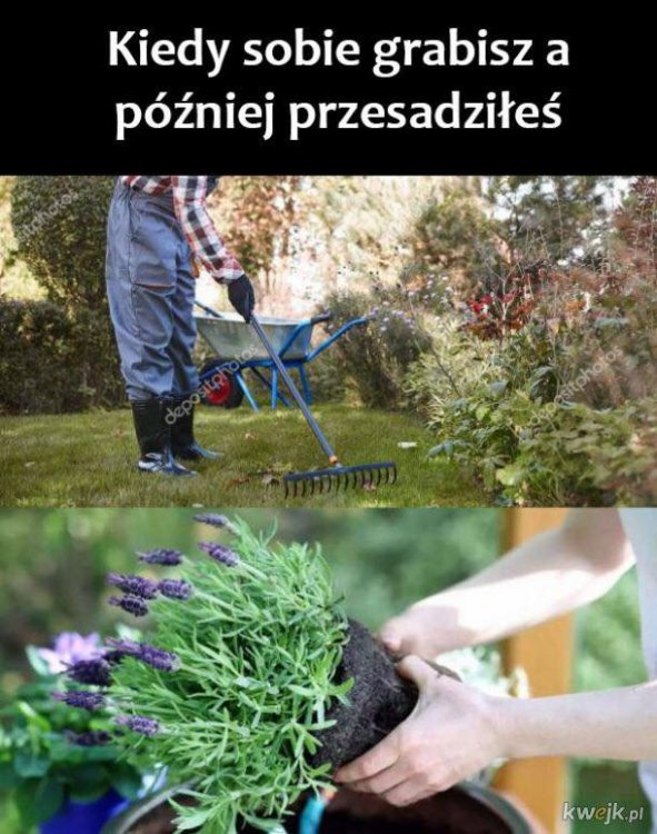FB_IMG_1565540444758.jpg
