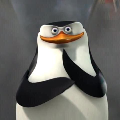 skiper.jpeg.af342959fd4d672a325f87a776951a48.jpeg