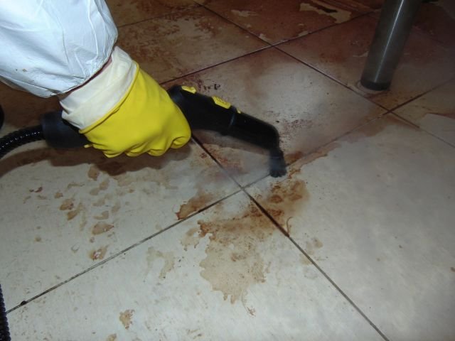 1013778938_zawd-sprztaniemiejsczbrodni.jpg.1a8946b9858ed6af3056ea999224bb0e.jpg