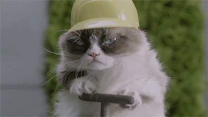 3629094_000.gif
