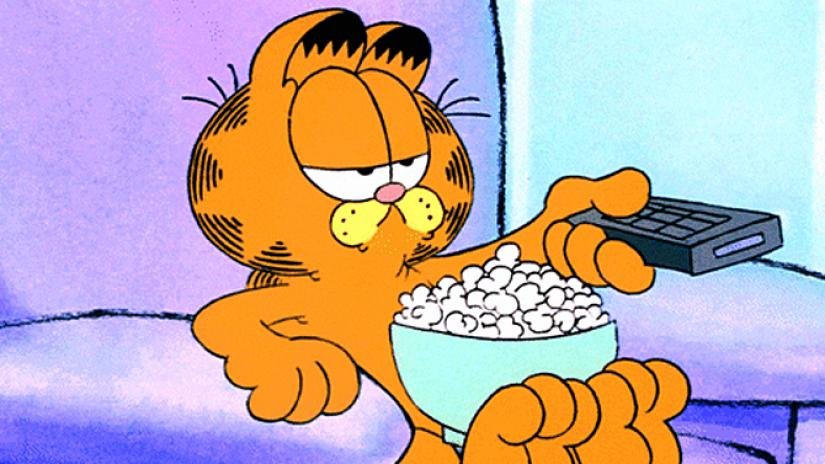 garfield.jpg.f3a003da9c9c318c1b6fc7534d7c1985.jpg