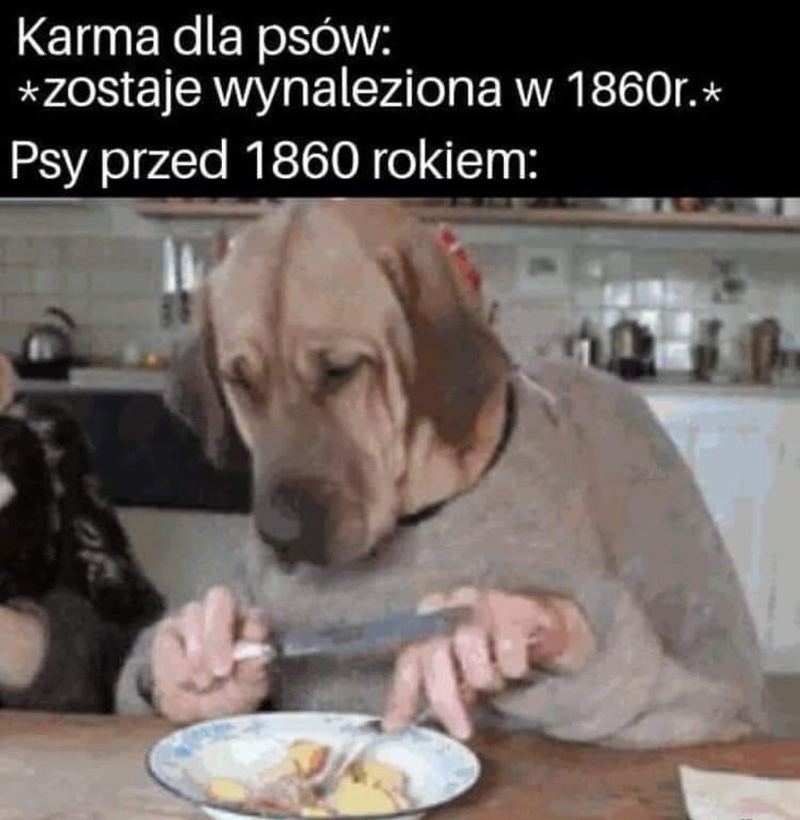 75349031_2697078153690620_4673783626255564800_n.thumb.jpg.6bd1393953b1fe789f1573bfcad9d376.jpg