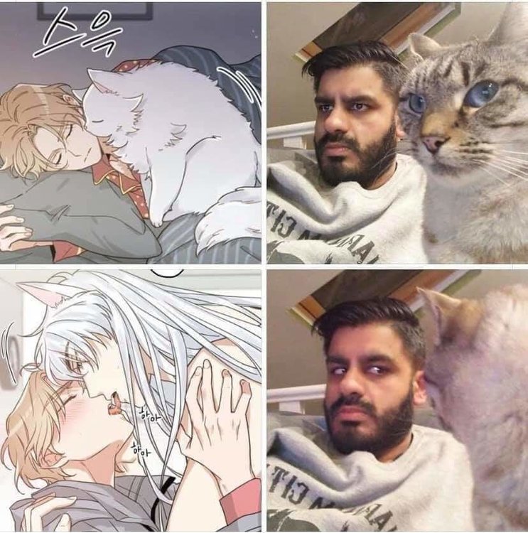received_553354625482641.jpeg