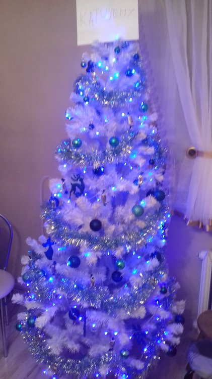20191224_223211.jpg