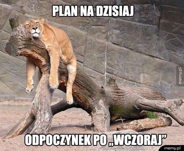 14462999648585.jpg.64f4159cf5d0ab5a2be86b1e84fcf60d.jpg