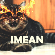 IMEAN1.jpg.640e264f13df6a3a47d8b791e25e440d.jpg