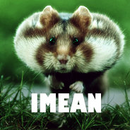 IMEAN2.jpg.4e4a923241c7210653056d93be445d42.jpg