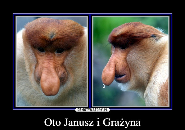 image.png.a61d7d3f653e3835cf1f3a58199c431f.png