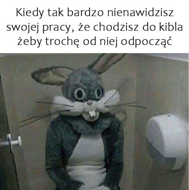 yIiomlWwbckm01Bp.jpg.02e62ef204502caddad90d5979c418d4.jpg