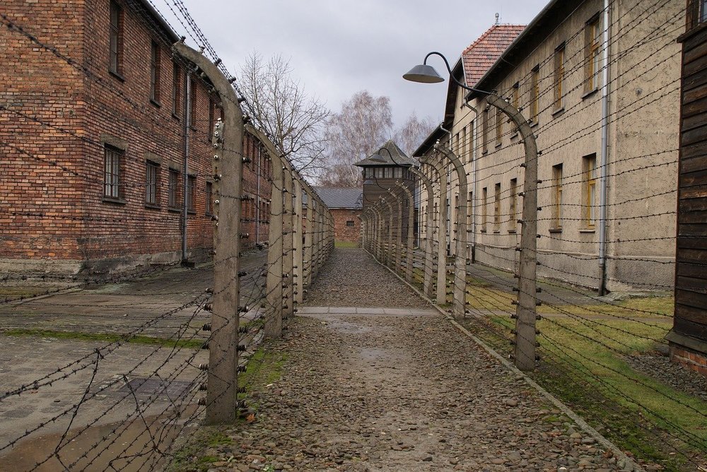 auschwitz-2755745_1280.thumb.jpg.772cc08dbe3b0165598b8ecdb1f39155.jpg