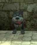 duskie.PNG.700ded444aa683f1773a6390c0e40549.PNG