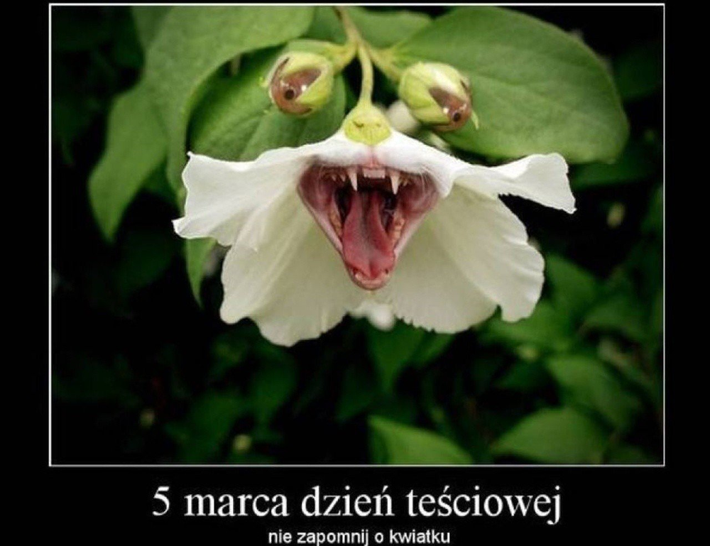 image.thumb.png.c65522432037f7a9e60095589c1dcf14.png