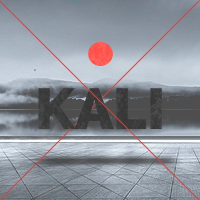 kali.png.8b6e279296afbddd48d27002d3c4fe42.png