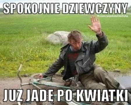 kwiatki.jpg.c81bbe0d2dc0ef5b3d9cc5fdcc9be9e6.jpg