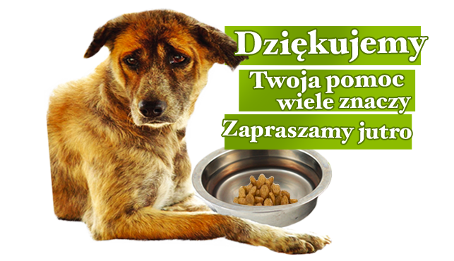 piesy.png.d1b820019a0bd4ffea5fdd995004b114.png