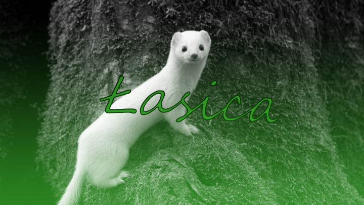 1939855121_asica.png.61fe6bba5d14e5752be4188dc3fa8752.png