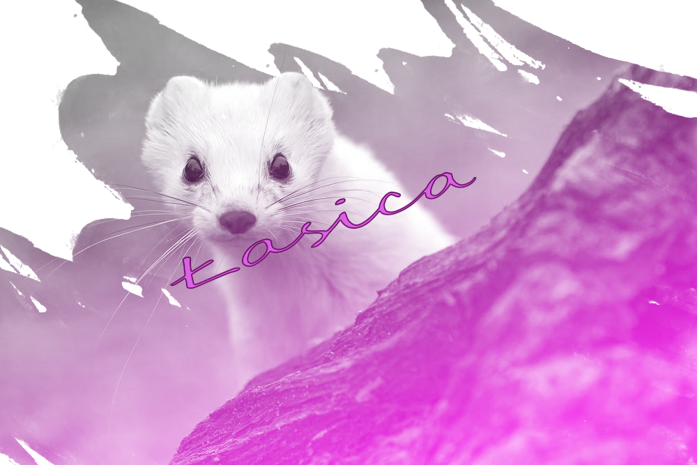 lasicac.png.42366dbc0dc0bb850d7a8fd75dc552d2.png