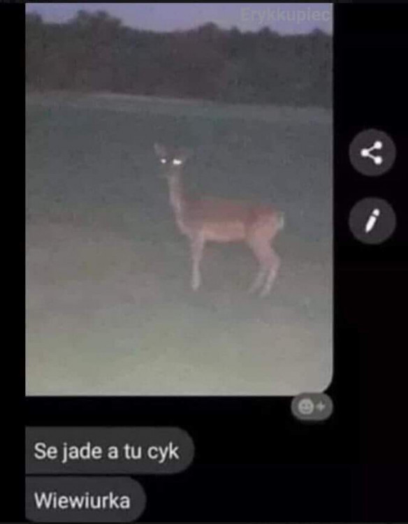 received_841051313033773.jpeg
