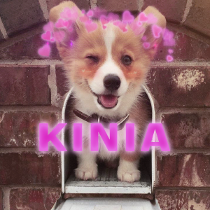 kinia.png.88b145eb532b4f5c3d0b799b66e0b049.png