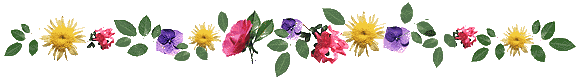 linia_-_kwiaty.gif.239347a305ce05f79297d04936fb4a2f.gif