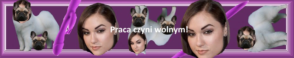 Bez tytułu.png