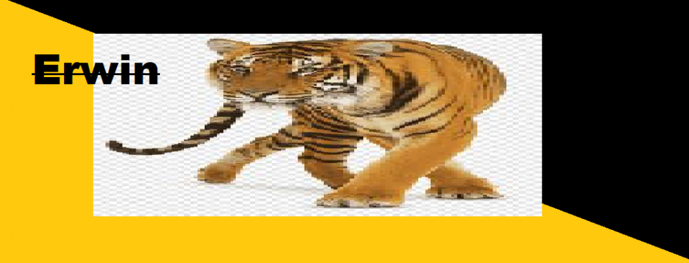 image.thumb.png.d194ab6646c6eb6d4245176e13707283.png