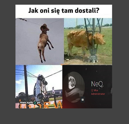 nequ.PNG