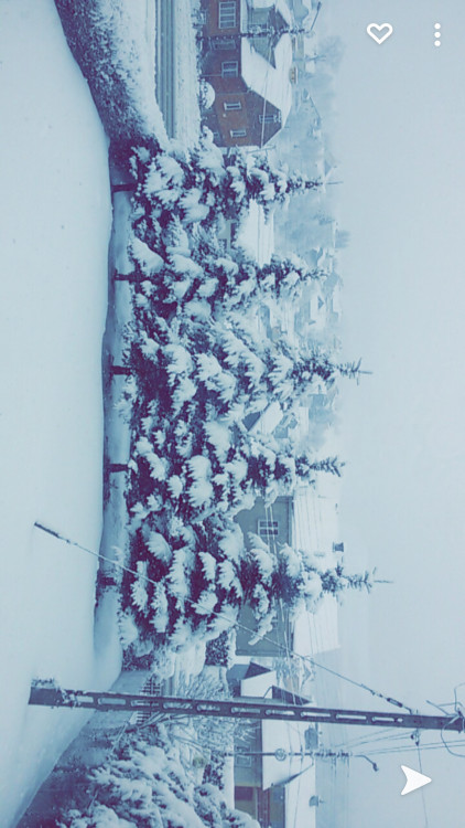 Screenshot_20201224-133357.thumb.jpg.414f20db29ac0de5c458c45dcc41818f.jpg