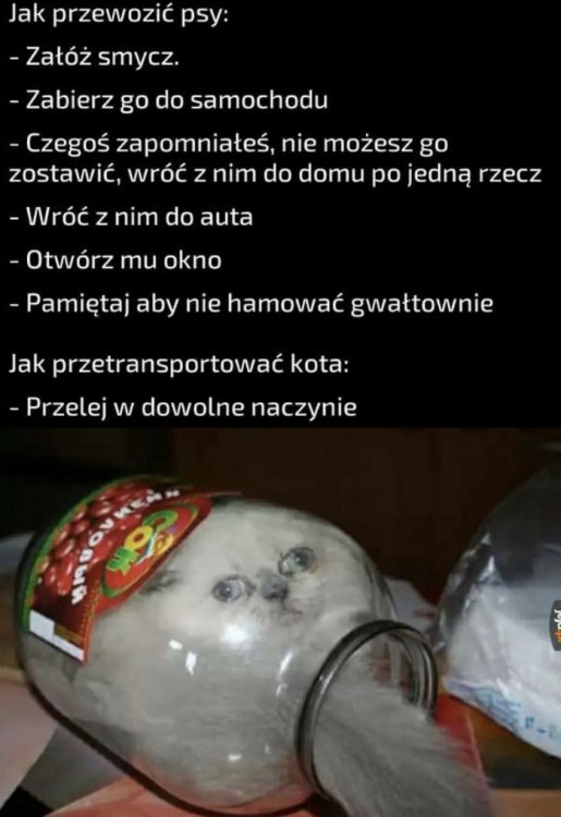 5ADBD975-F55C-41B1-A275-F8678F3A8480.jpeg