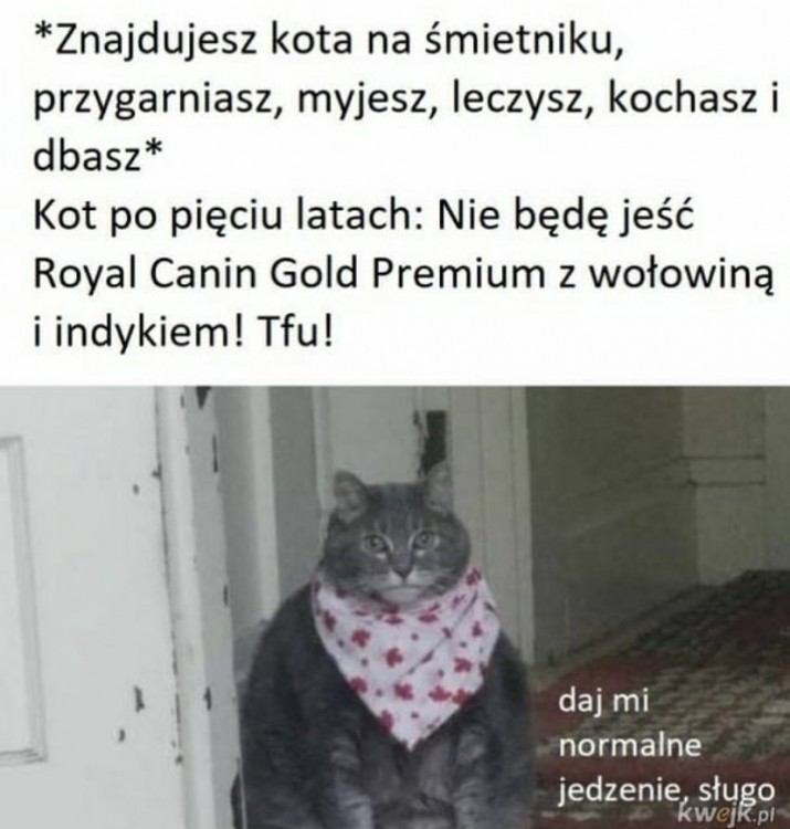 5C65BE9E-C331-427B-A34B-7A076BDD0724.jpeg