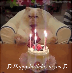 acea32b049a17281acd279f6b656c756.gif