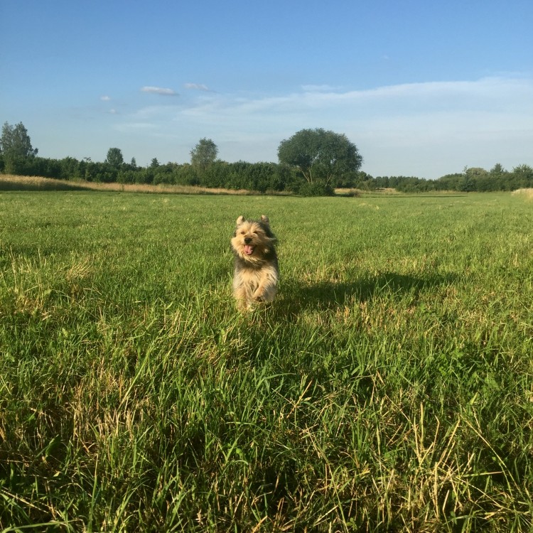 FF4B8597-B95E-4F25-9A59-8785E86C2418.thumb.jpeg.d7f187131923bf55fa689476e3e7505a.jpeg