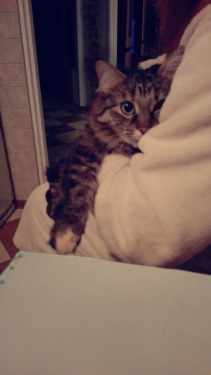 Snapchat-1001060270.thumb.jpg.094a3585fd7becc60373a1f30940fa49.jpg