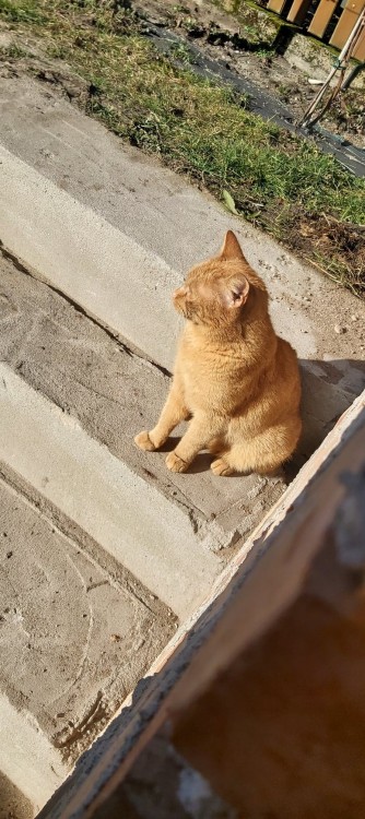 kat-forum-1.thumb.jpg.0e1cf2d146ad33f6dc9d93d7e9496d06.jpg