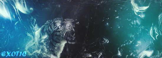 1505869130_sygnatueralew.png.be01220d70f75c46528e596834fab2bb.png